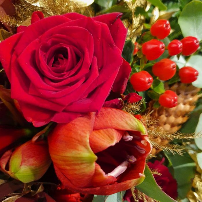 Mit unserem Strauß „Nikoletta“ haben sie den perfekten Strauß, um ihren Lieben zu Weihnachten eine Freude zu machen Natürlich auch eine großartige Idee zu Nikolaus. Rote Amaryllis kombiniert mit edlen roten Rosen umrandet von goldenen Ruskus und goldglänzenden Asparagus. Rote Kugeln und Zapfen umhüllt von Kiefer und Eukalyptus. Ein echter Hingucker für die Weihnachtszeit. Dieses wunderbar individuell von Hand gefertigte Arrangement liefern wir gern deutschlandweit, wie z.B. nach Hamburg, Bremen, Oldenburg, Vechta, Osnabrück, Düsseldorf, Frankfurt, München, Köln und jede andere Stadt. Einfach Blumen liefern mit Blumenversand blumen-interleur.de bestellen.
